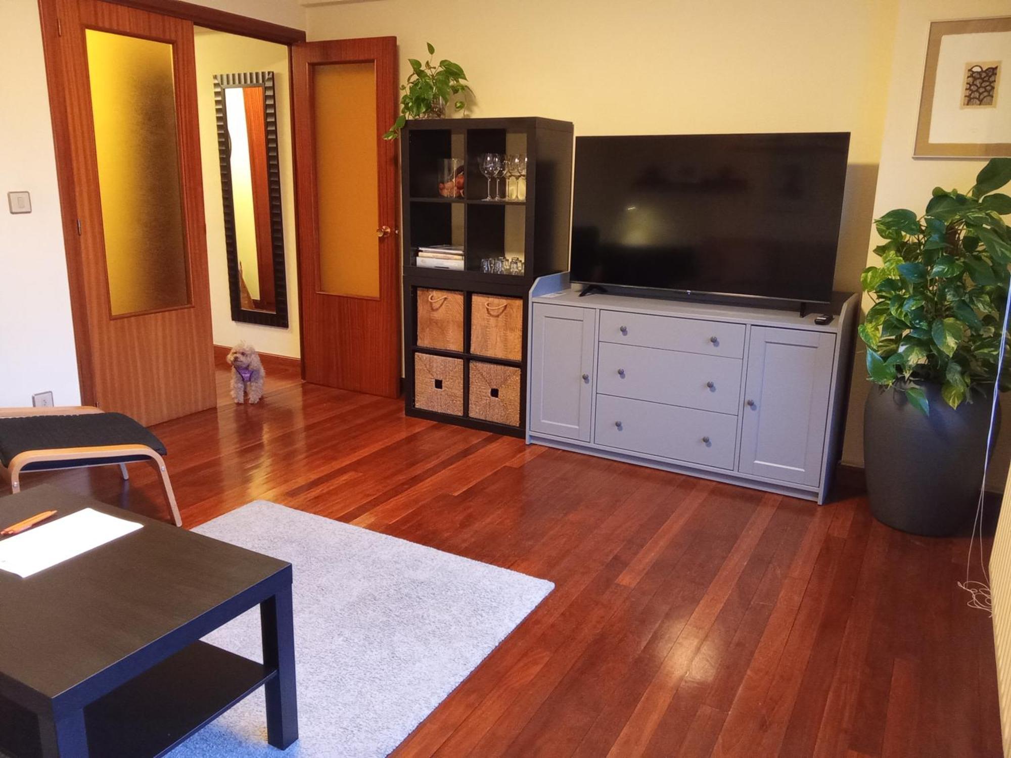 Andramari Tourist Home Parking& Wifi Amorebieta-Etxano Esterno foto
